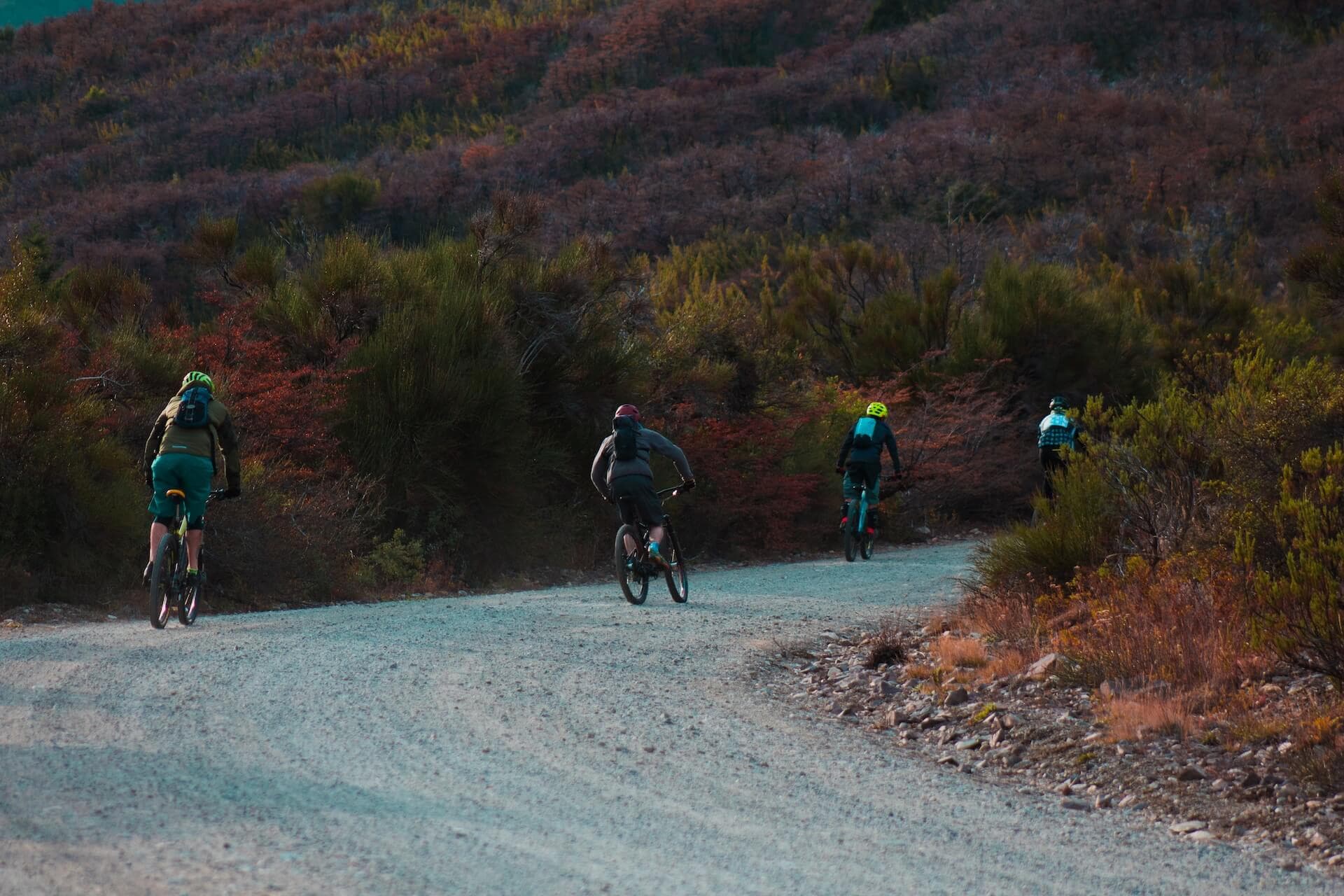 Three gravel riders climbing a forest piste in the High Atlas